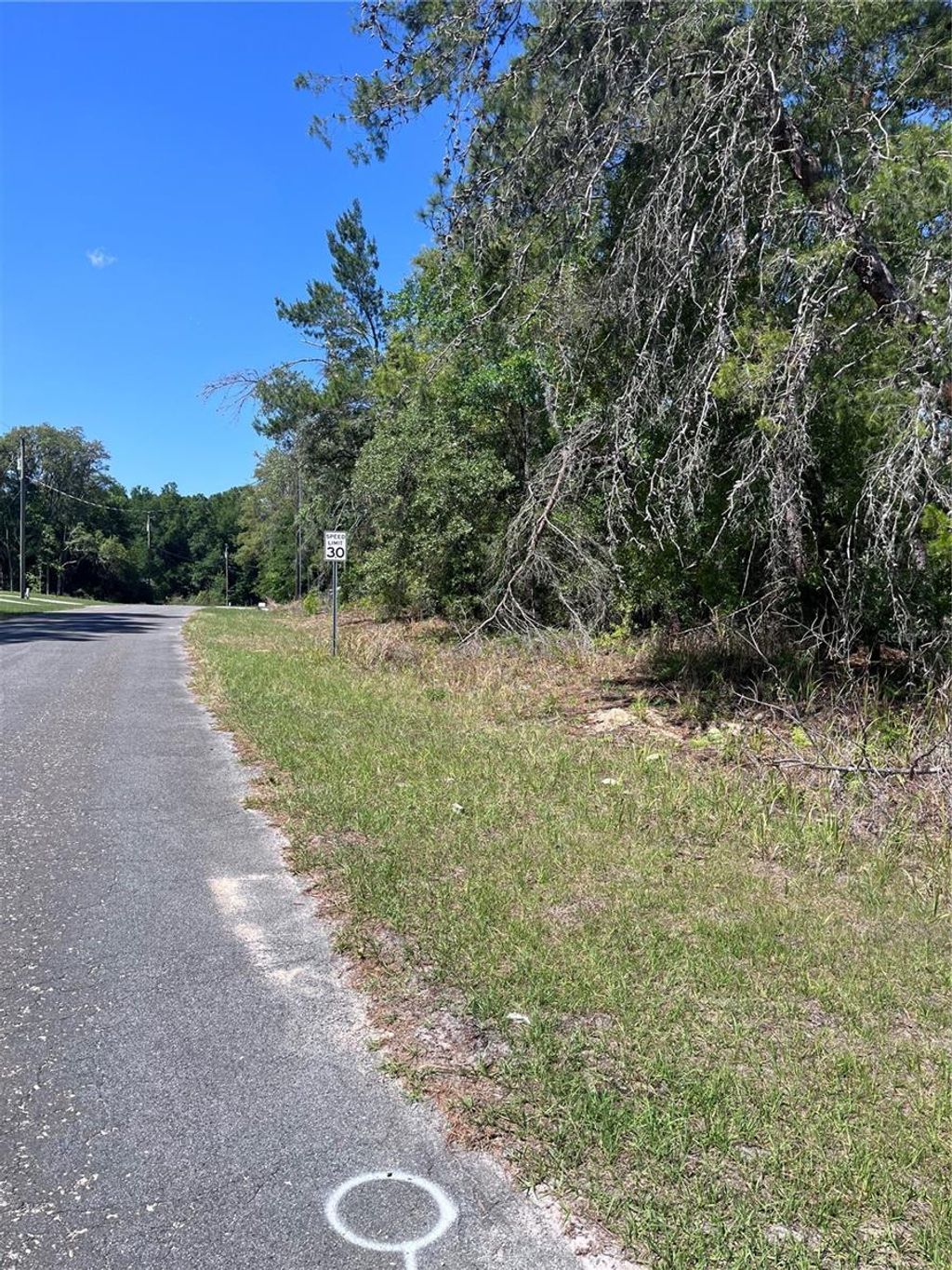 Photo of 8000 N Pocono Drive, Citrus Springs, FL 34434 (MLS # TB8499728)