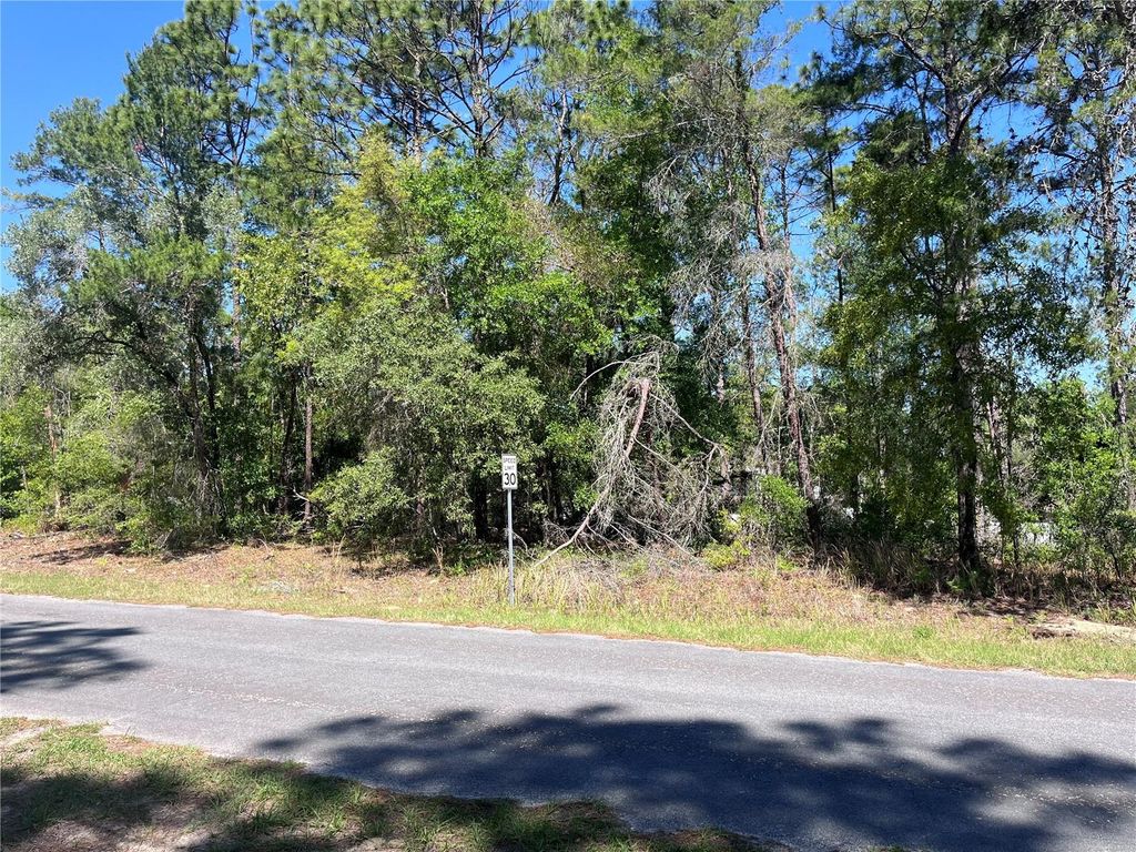 Photo of 8000 N Pocono Drive, Citrus Springs, FL 34434 (MLS # TB8499728)