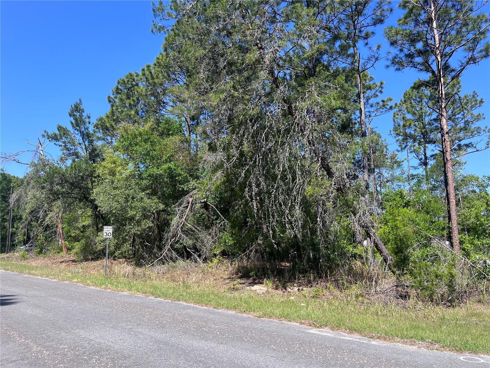 CITRUS SPGS UNIT 07 - Land