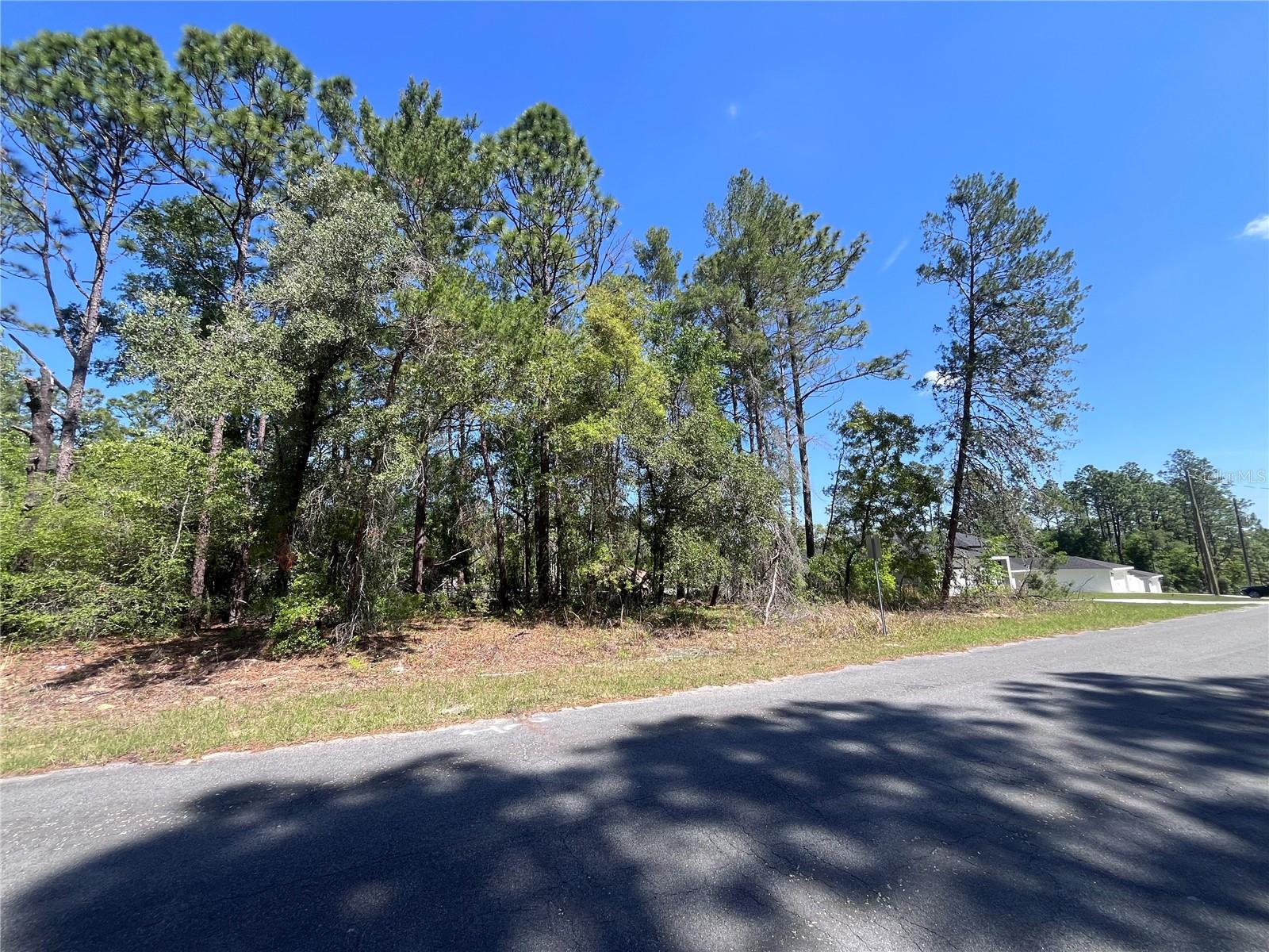 CITRUS SPGS UNIT 07 - Land