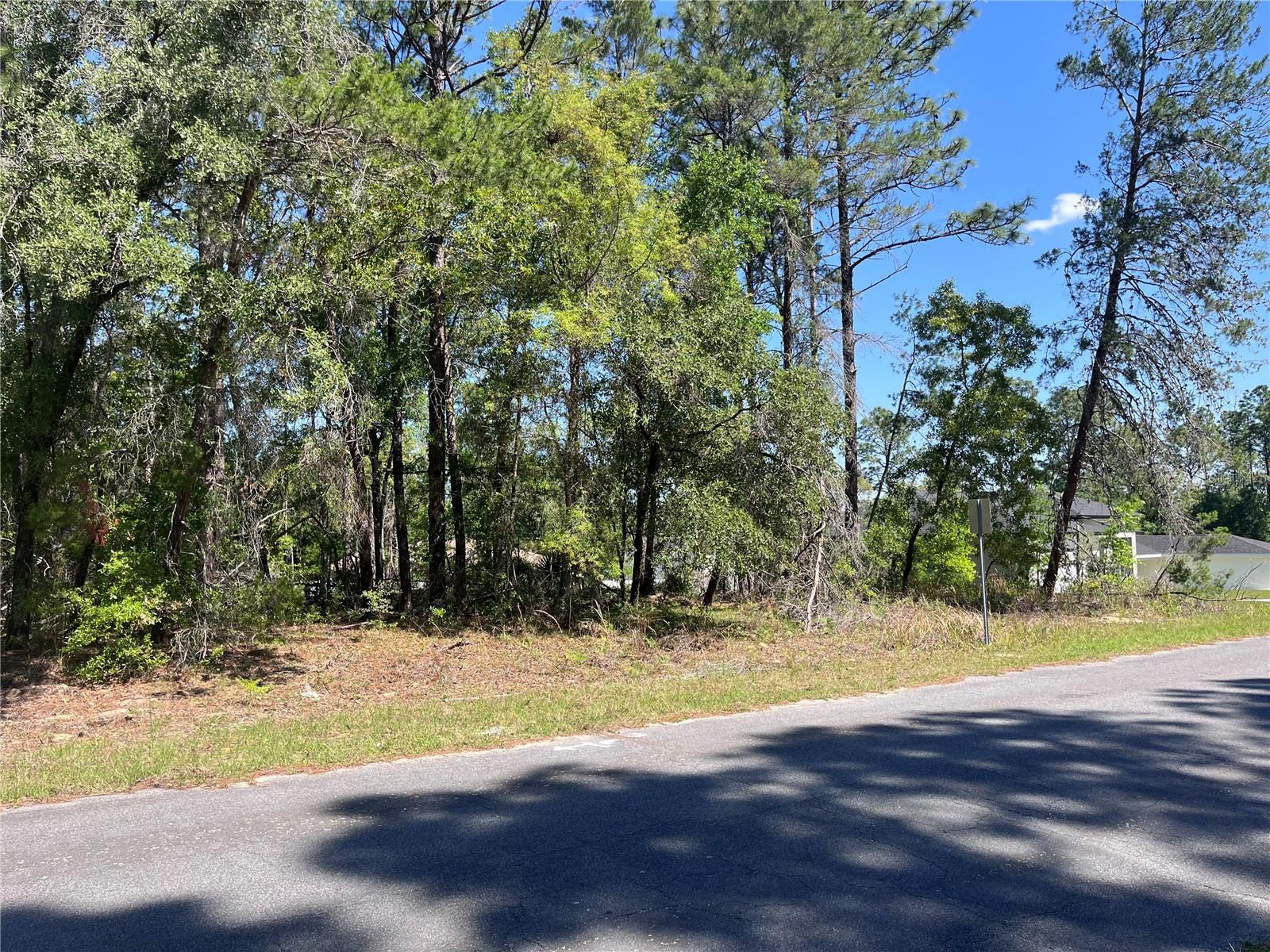 CITRUS SPGS UNIT 07 - Land