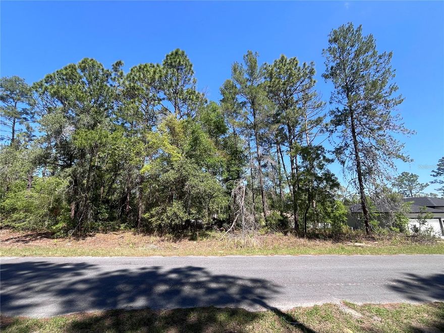 Ready to build your dream home? Look no further- this lot may be what you are looking for!! Live in a vibrant community with no HOA. Golf nearby, close to beaches, rivers, and parks. Enjoy the Florida paradise in your own custom home.