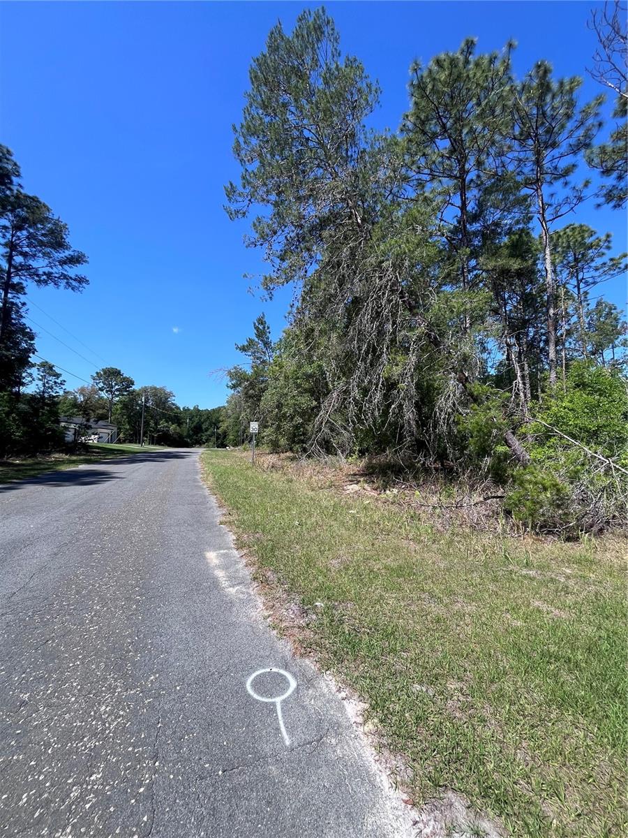 CITRUS SPGS UNIT 07 - Land