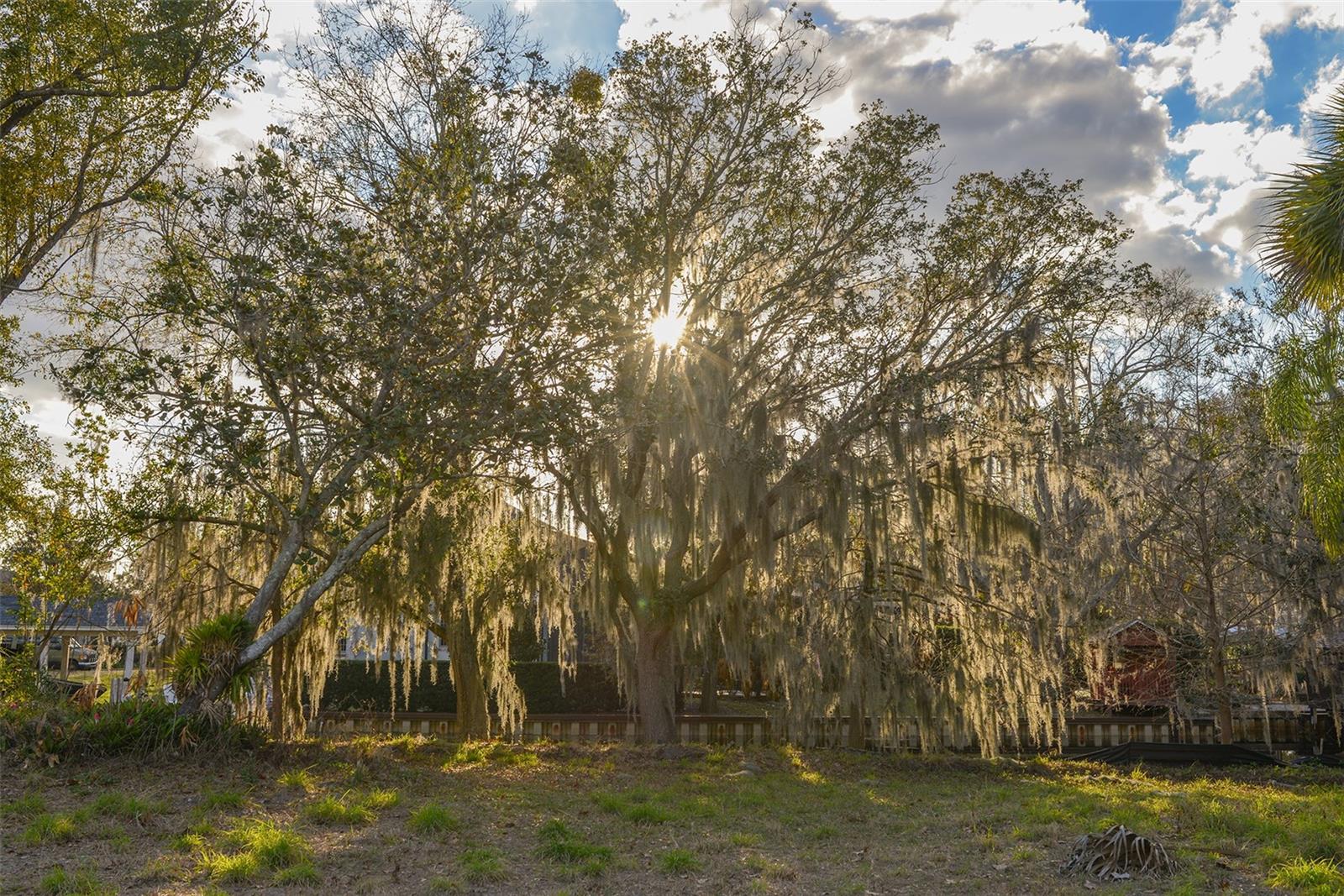 MARINA BAY ESTATES - Land