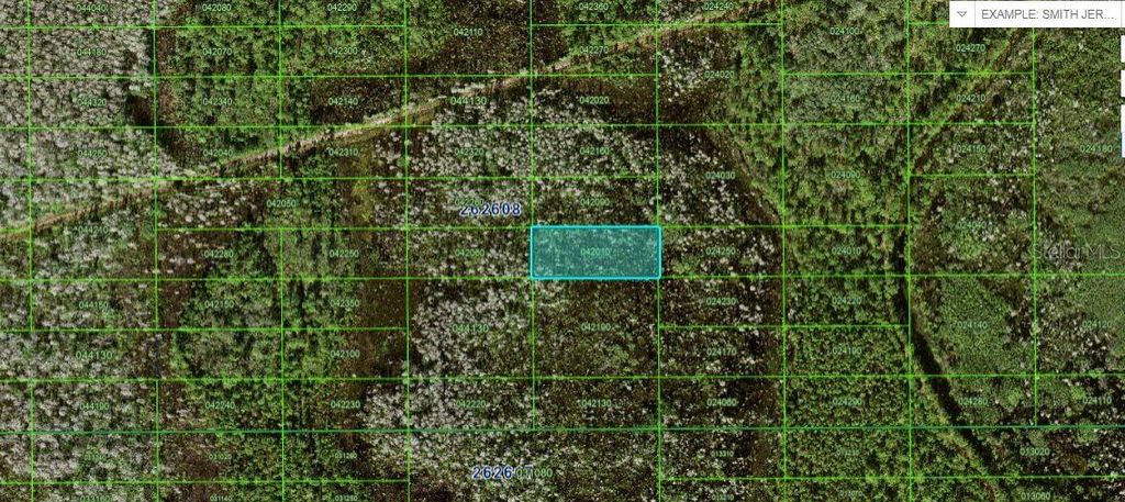 Photo of N/A, Polk City, FL 33868 (MLS # O6227954)