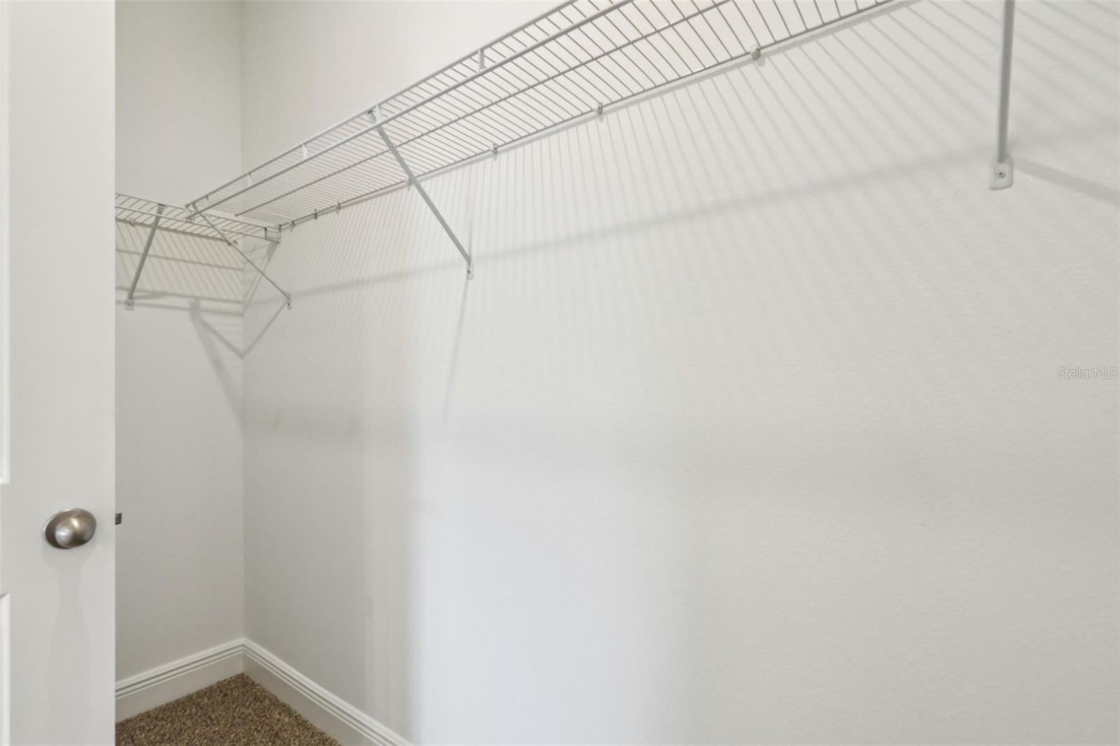 CYRENE AT MINNEOLA - Residential