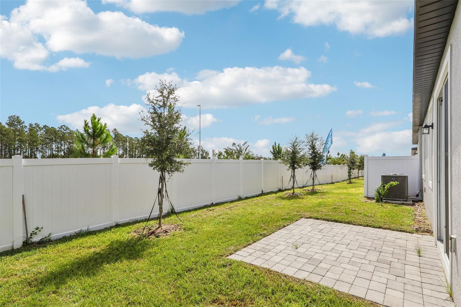 CYRENE AT MINNEOLA - Residential