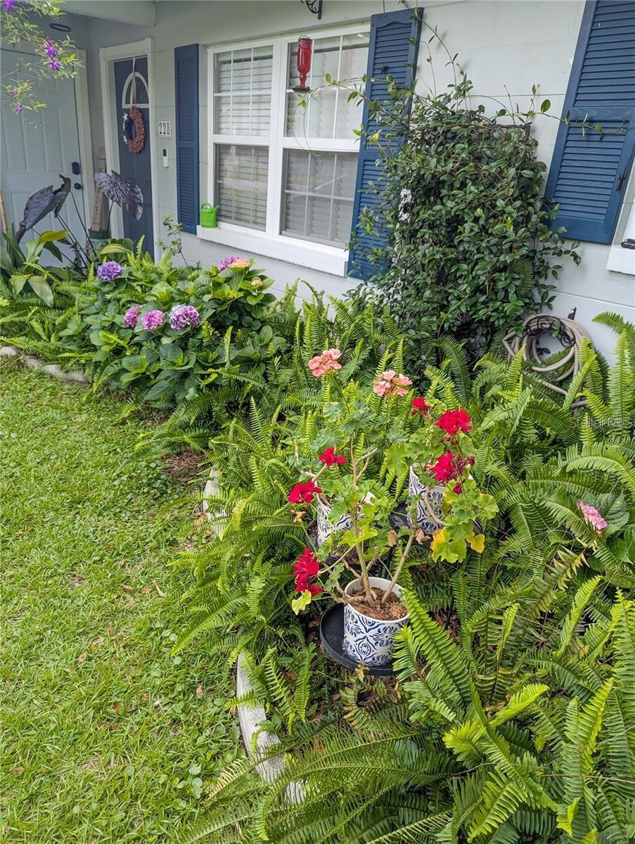 OAK HILL ESTATES SUB - Residential