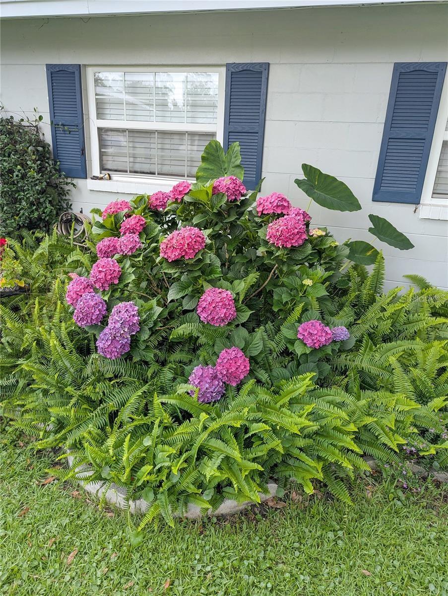 OAK HILL ESTATES SUB - Residential