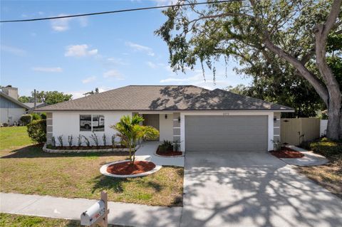 6572 MAUNA LOA BOULEVARD SARASOTA FL 34241