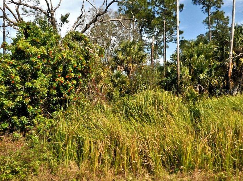 Parcel Description:LOT 9 BLK 2237 46TH ADD TO PORT CHARLOTTE
Vacant Residential.
Note: buyers I emphasize the importance of conducting thorough due diligence to ensure that the property meets your expectations and requirements.