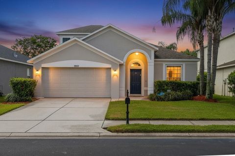 Photo of 10632 Firebrick Court, Trinity, FL 34655 (MLS # TB8502180)