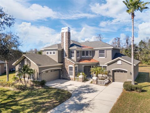 16637 ASHTON GREEN DRIVE LUTZ FL 33558