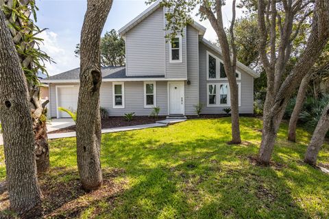 A home in FLAGLER BEACH