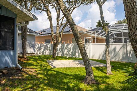 A home in FLAGLER BEACH