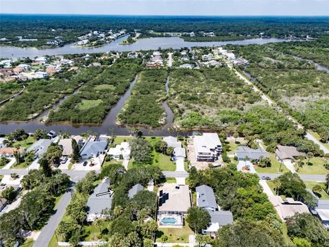 A home in FLAGLER BEACH