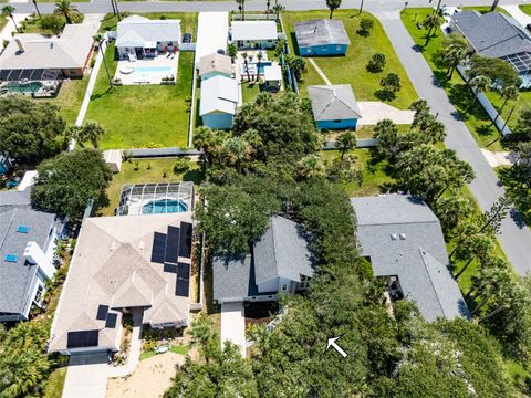 A home in FLAGLER BEACH