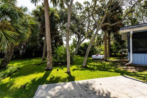 A home in FLAGLER BEACH