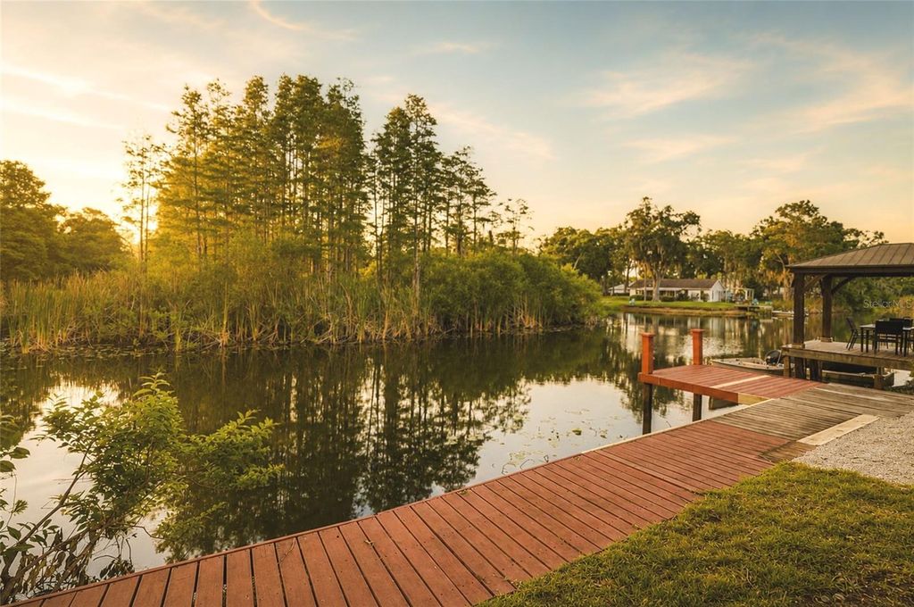Photo of 17002 Paula Lane, Lutz, FL 33558 (MLS # TB8505363)