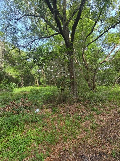 Tiny photo for Tbd S St Clair Street, Wildwood, FL 34785 (MLS # OM721490)