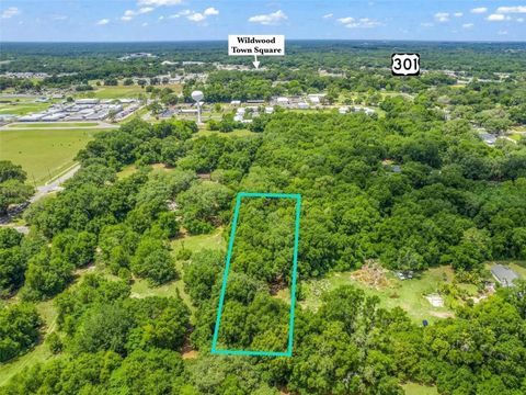 Tiny photo for Tbd S St Clair Street, Wildwood, FL 34785 (MLS # OM721490)