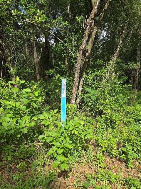 Tiny photo for Tbd S St Clair Street, Wildwood, FL 34785 (MLS # OM721490)