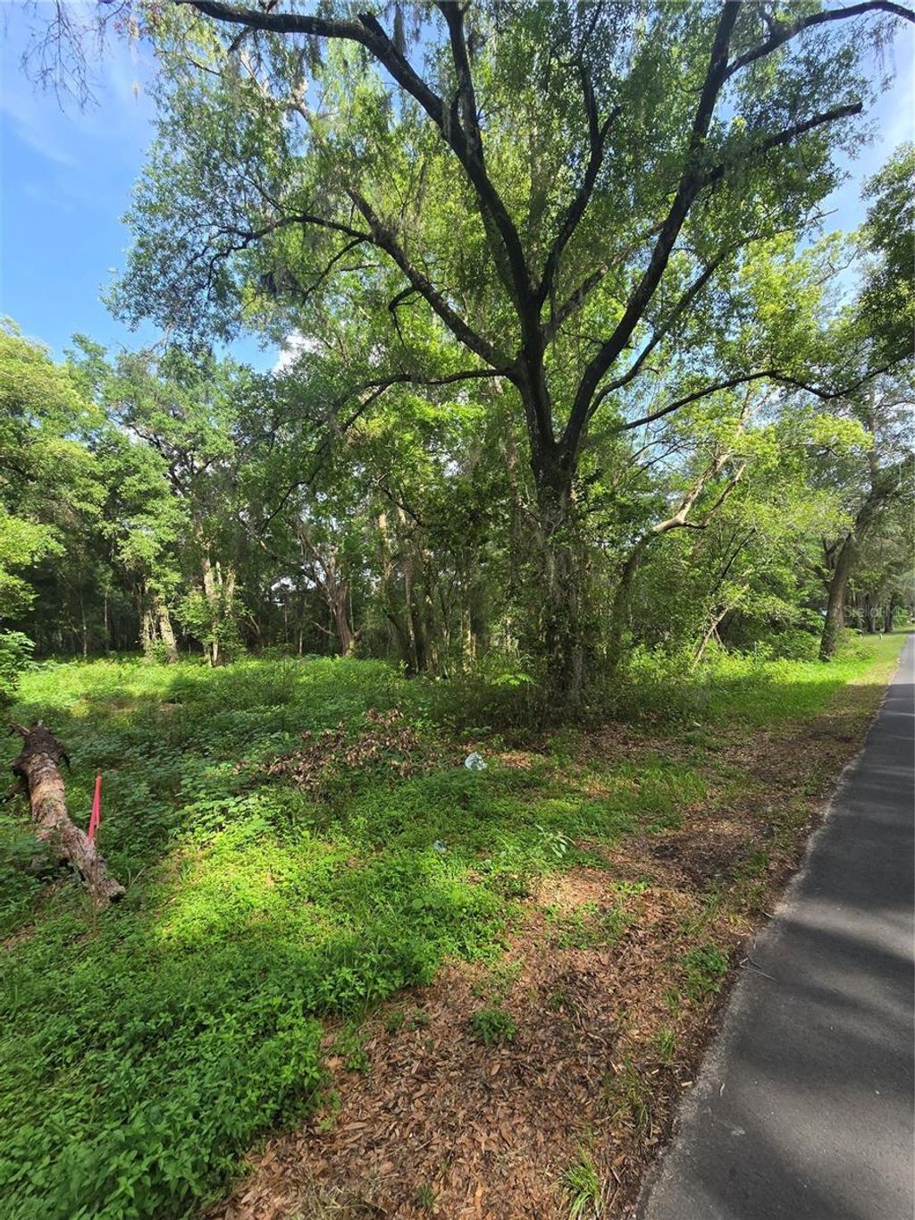 Photo of Tbd S St Clair Street, Wildwood, FL 34785 (MLS # OM721490)