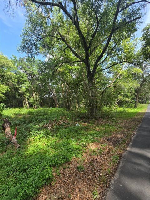 Tiny photo for Tbd S St Clair Street, Wildwood, FL 34785 (MLS # OM721490)
