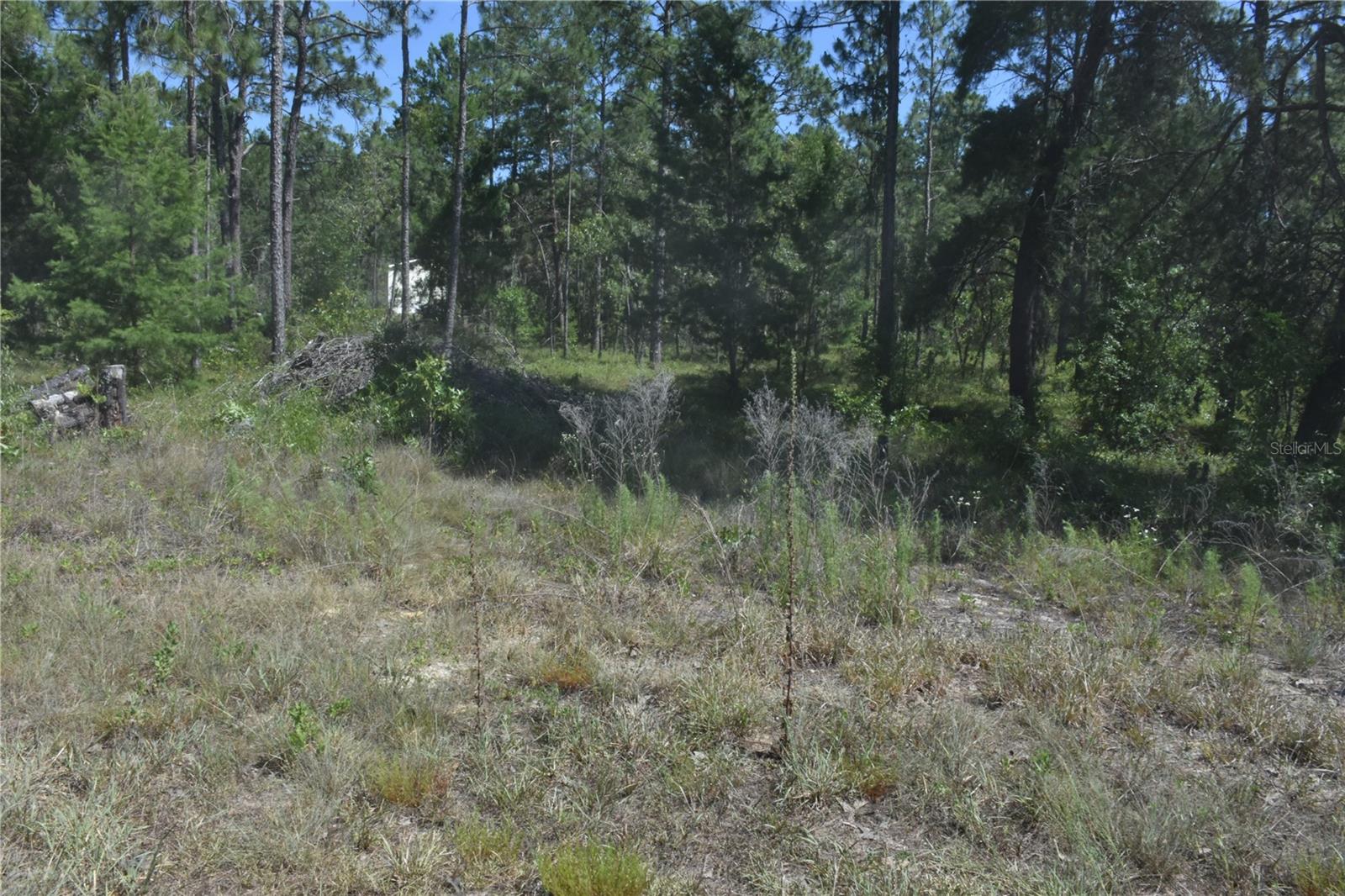 **Checkout this amzing 1.25 acres Lot in Williston Highlands** The lot measures 330x165 with 165 ft road frontage.. The owner had all the undergrowth clared so the final clearing wil be easy. This area is zone residetial and plan are sy to get approved to build. Also they are running Broadband internet in the area now so don't miss this Golden opportuniy to build your dream home call now...