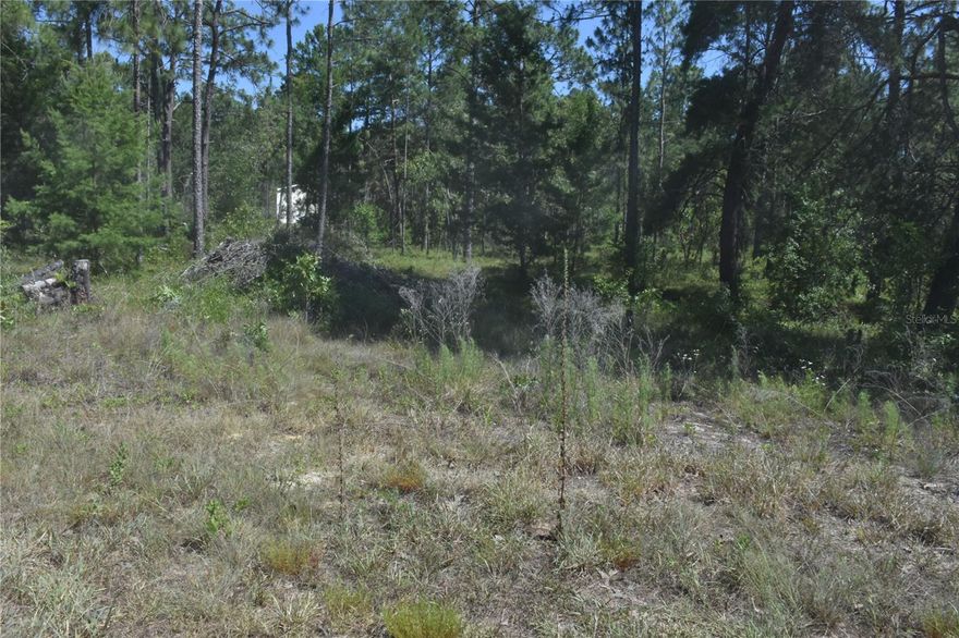 **Checkout this amzing 1.25 acres Lot in Williston Highlands** The lot measures 330x165 with 165 ft road frontage.. The owner had all the undergrowth clared so the final clearing wil be easy. This area is zone residetial and plan are sy to get approved to build. Also they are running Broadband internet in the area now so don't miss this Golden opportuniy to build your dream home call now...