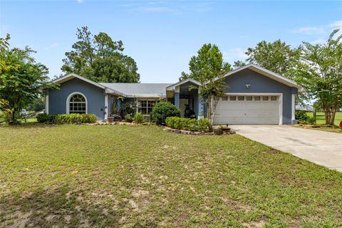 Photo of 885 SW 6th Avenue, Williston, FL 32696 (MLS # GC533100)