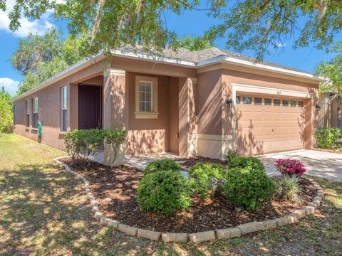 Photo of 8427 Deer Chase Drive, Riverview, FL 33578 (MLS # TB8502209)