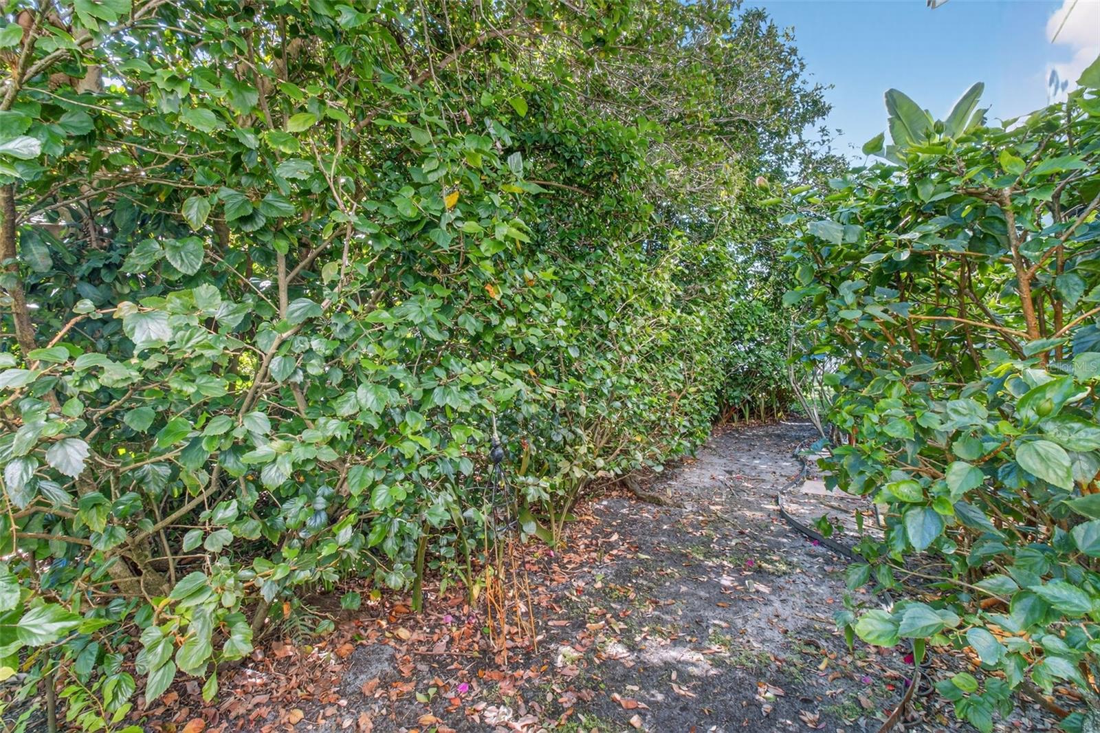 CYPRESS TRACE NORTH CONDO - Residential