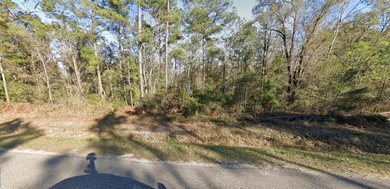 FLAGLER ESTATES - Land