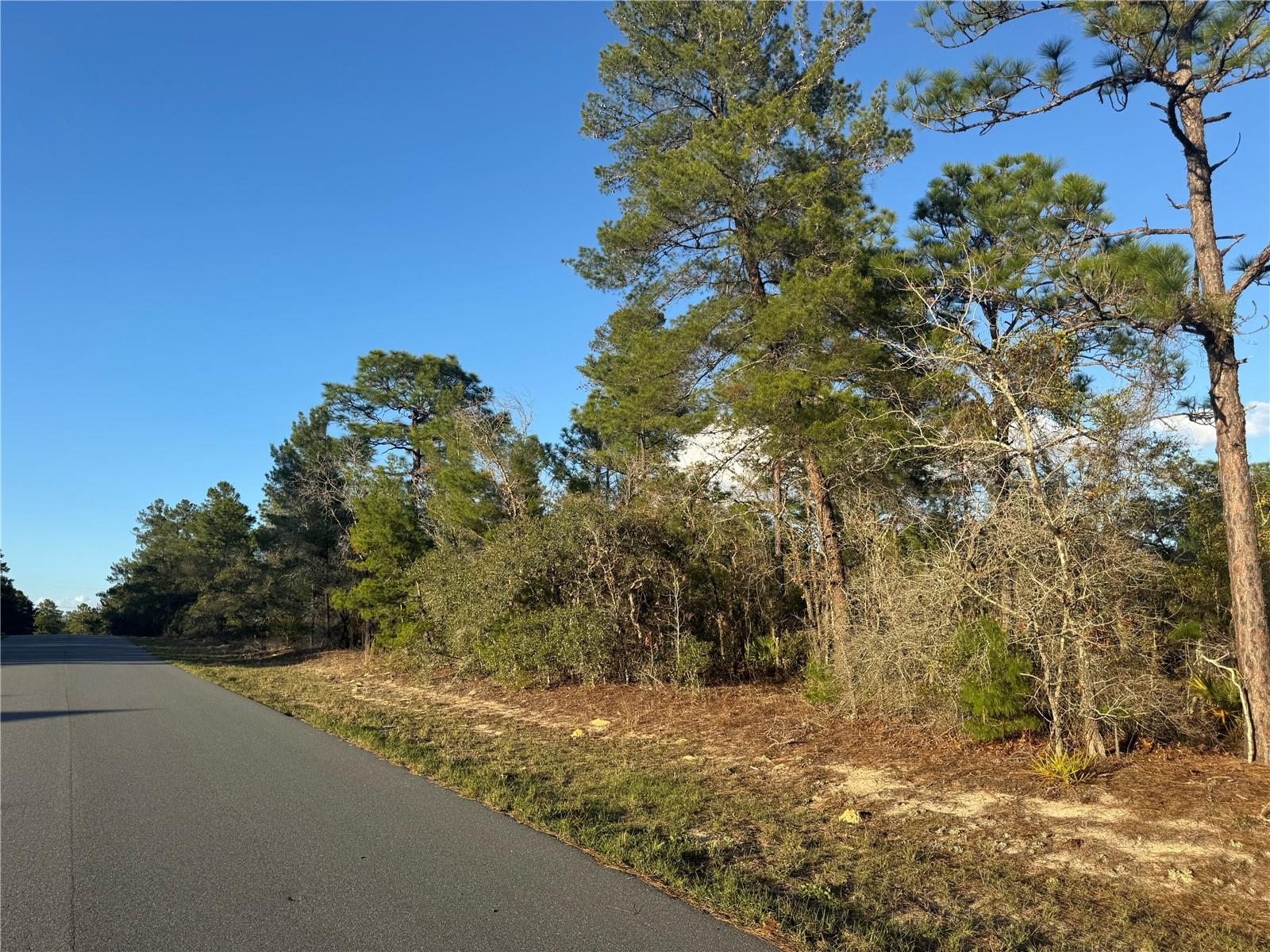 4035 W ABELINE DRIVE