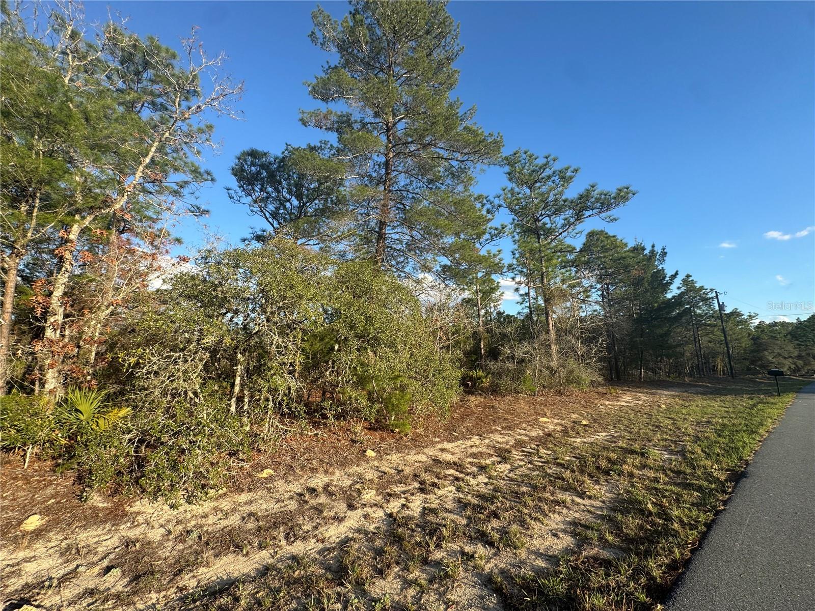 4035 W ABELINE DRIVE