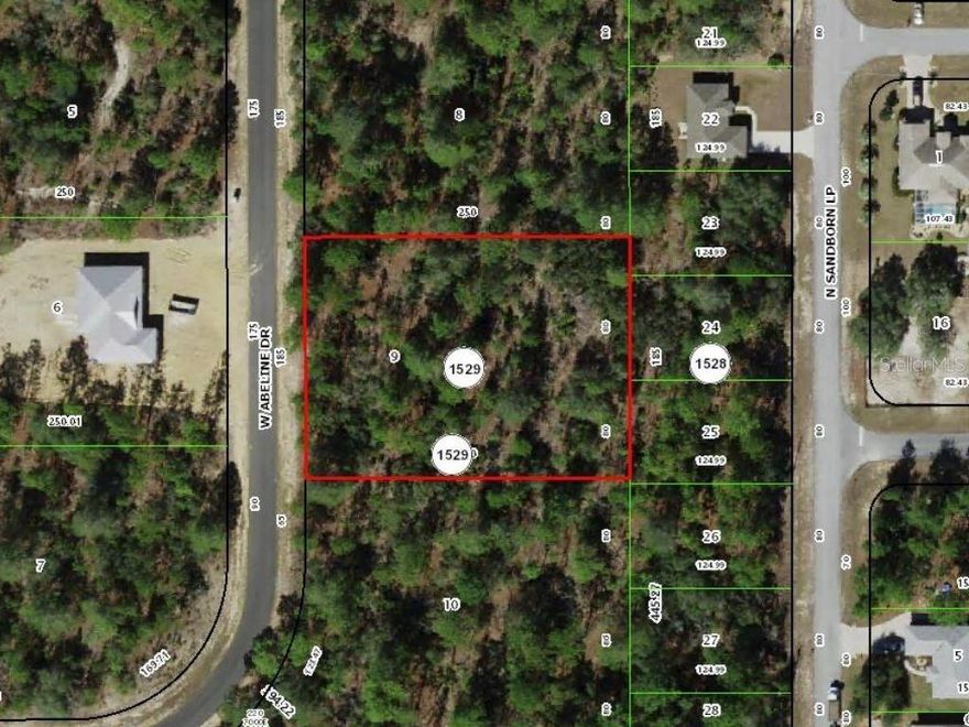 1.06-acre vacant lot in Citrus Springs, Florida located on a paved road. Public water has recently been extended to the property and is ready for hookup, with all assessments related to the extension already paid. Conveniently located 15 minutes from Crystal River and 20 minutes from Rainbow Springs State Park in Dunnellon, areas known for crystal-clear springs, boating, kayaking, tubing, and outdoor recreation. The property is also approximately 1 hour from Tampa International Airport and 1.5 hours from Orlando International Airport, offering convenient access to major travel hubs. Build a home and enjoy the many outdoor activities and natural attractions the Nature Coast has to offer.