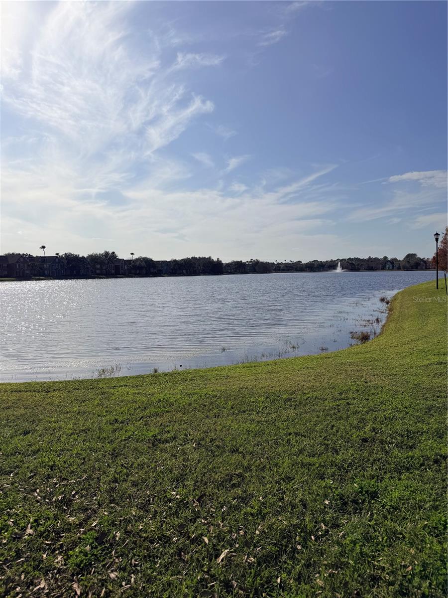 LAKE CHASE CONDO - Residential