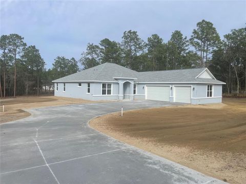 12411 SW 71 LANE ROAD OCALA FL 34481