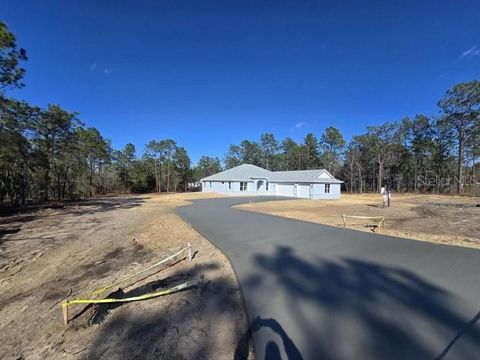 12411 SW 71 LANE ROAD OCALA FL 34481