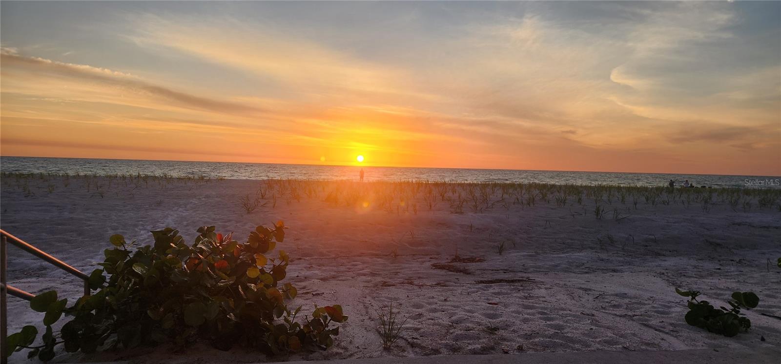 GULF BELLEAIR BEACH CONDO - Residential