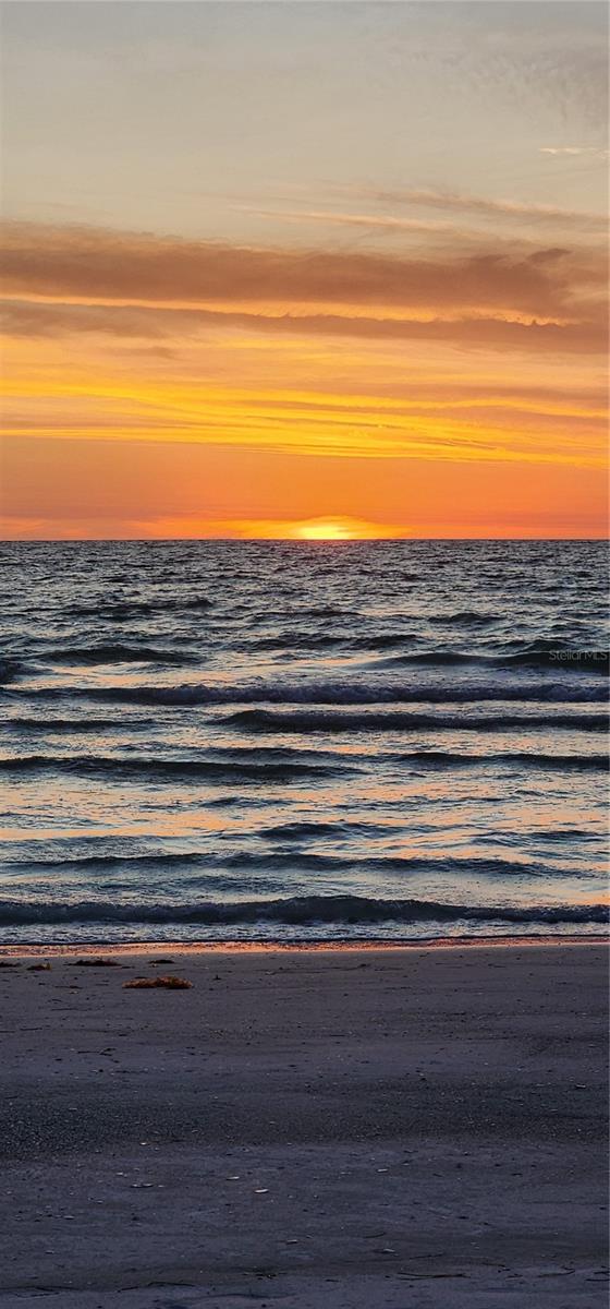 GULF BELLEAIR BEACH CONDO - Residential
