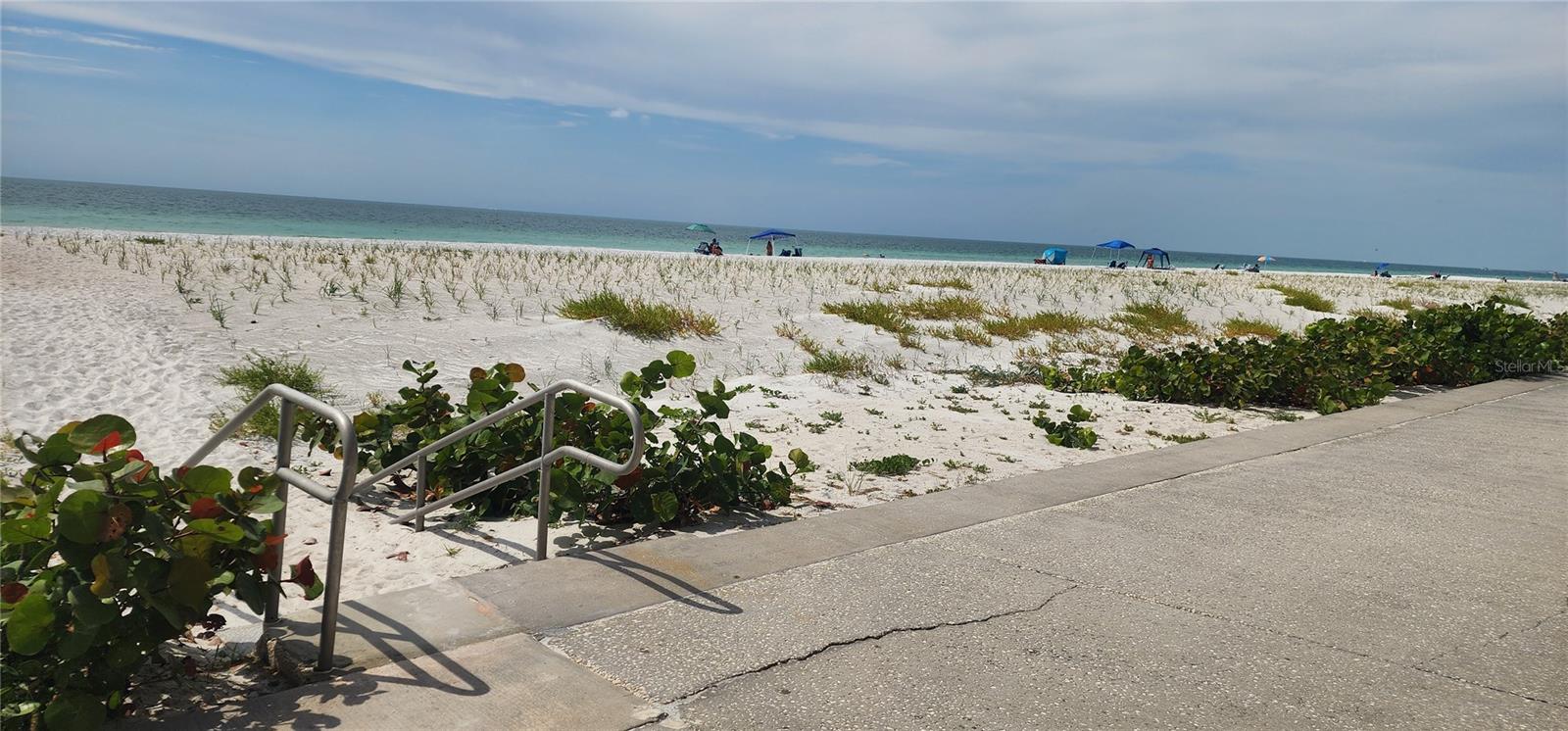 GULF BELLEAIR BEACH CONDO - Residential