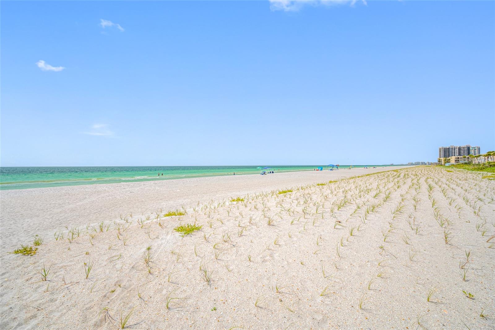 GULF BELLEAIR BEACH CONDO - Residential