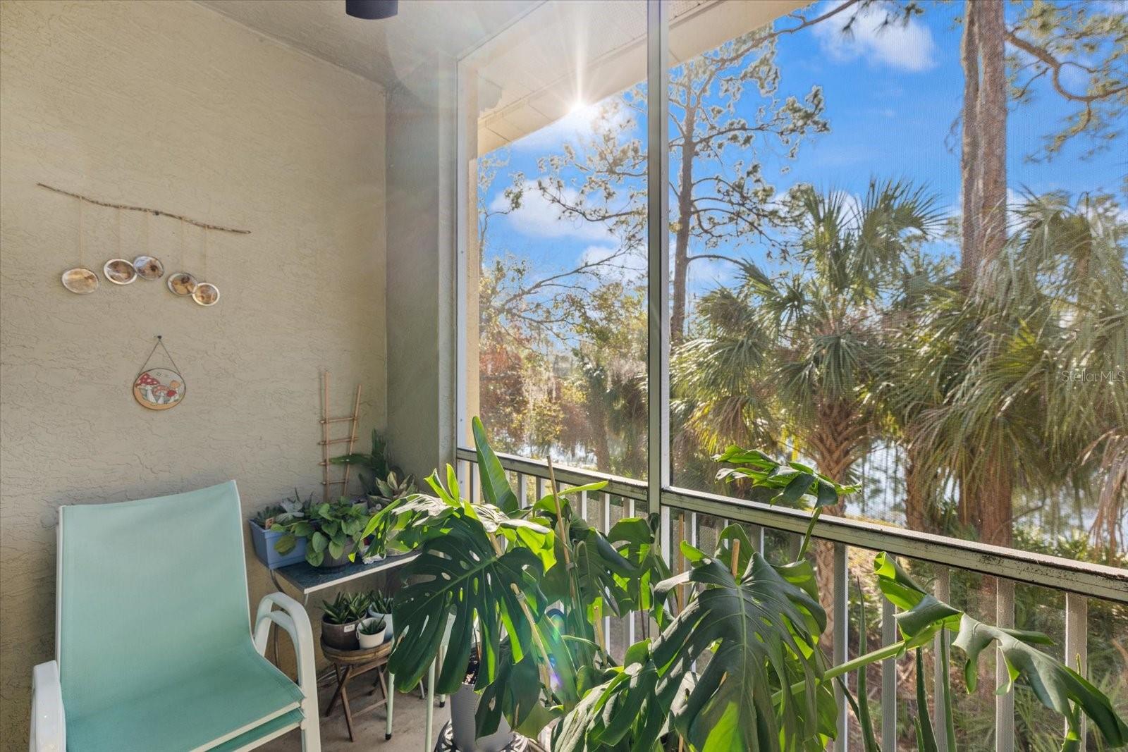 LAS PALMAS OF SARASOTA - Residential