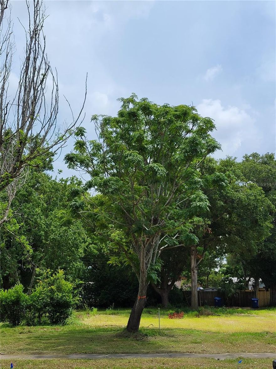 BUILDER READY!! Clean land in popular Oak Ridge Neighborhood. Existing home has already been demolished. Zoned NT-1 allowing for a traditional single family home with an accessory dwelling unit if desired. Accessory unit perfect for extra rental income or for aging parents. Adjacent lot also available. Great location. Only 7 min to Tyrone area shopping. 12 min to Downtown St. Petersburg. 13 min to Beautiful Beaches. SURVEY ATTACHED.