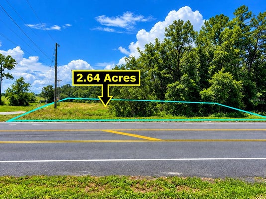 NW LITTLE CAT ROAD, MADISON, FL 32340 - Image eaac1a4e4680a95a9f702f7c8c4b66e3/3509020417