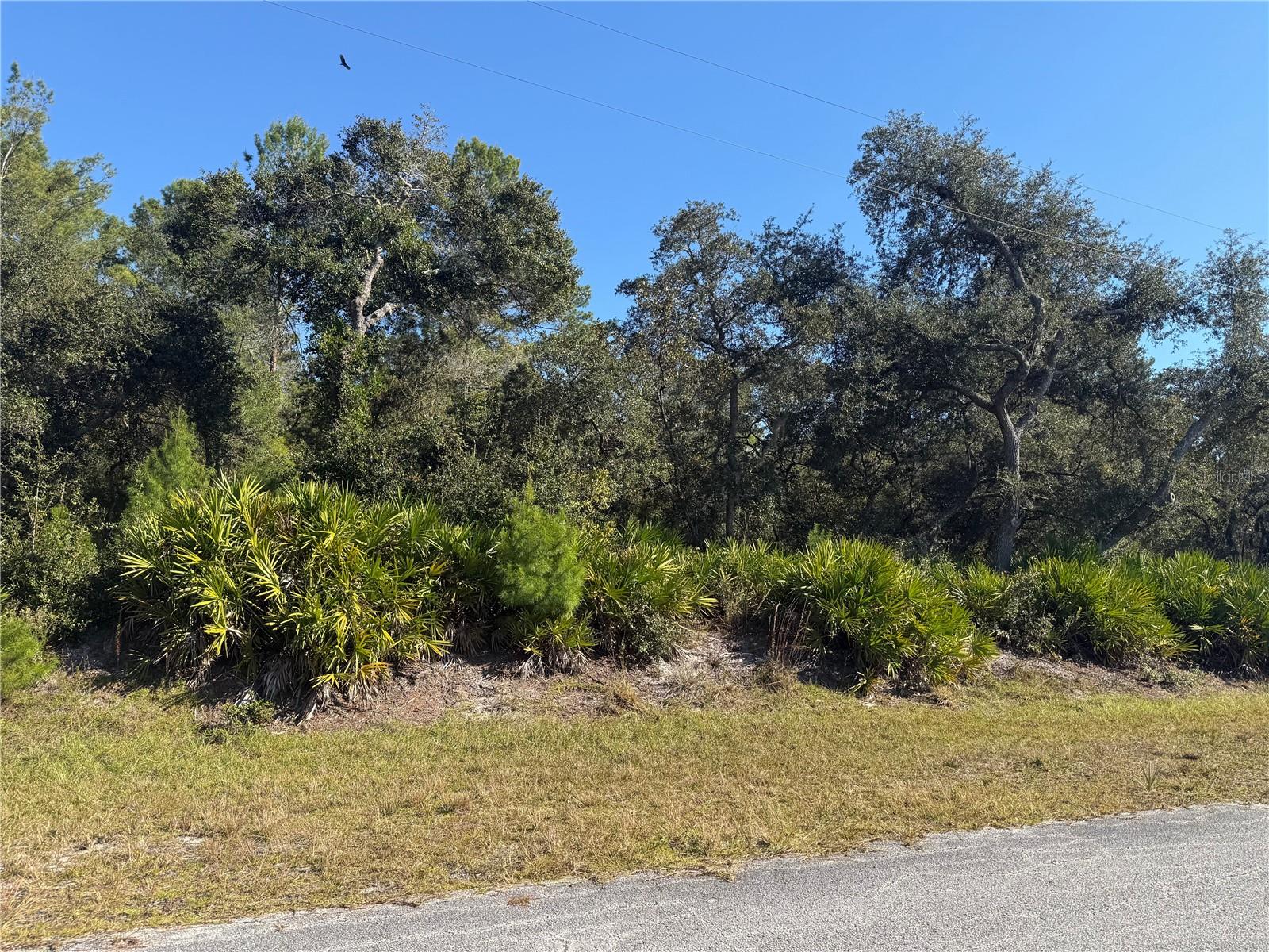 ROYAL TRAILS UNIT 01 - Land