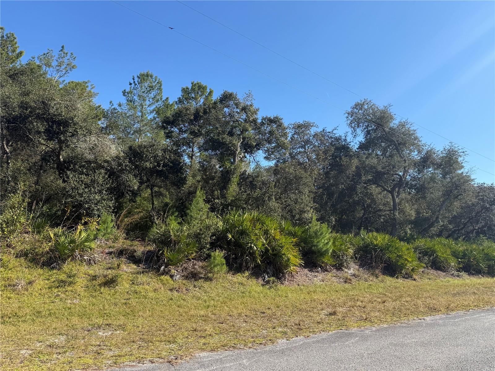 ROYAL TRAILS UNIT 01 - Land