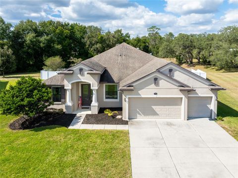 769 CHALLICE DRIVE SPRING HILL FL 34609